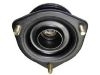 Strut Mount:54320-35F00